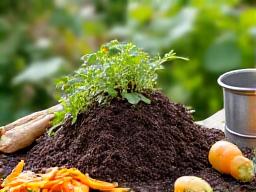 Blog giardinaggio sostenibile zero waste compostaggio