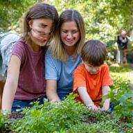 Famiglia con bambini e genitori che fanno giardinaggio insieme durante workshop